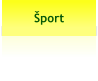 Šport