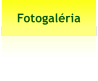 Fotogalria