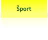Šport